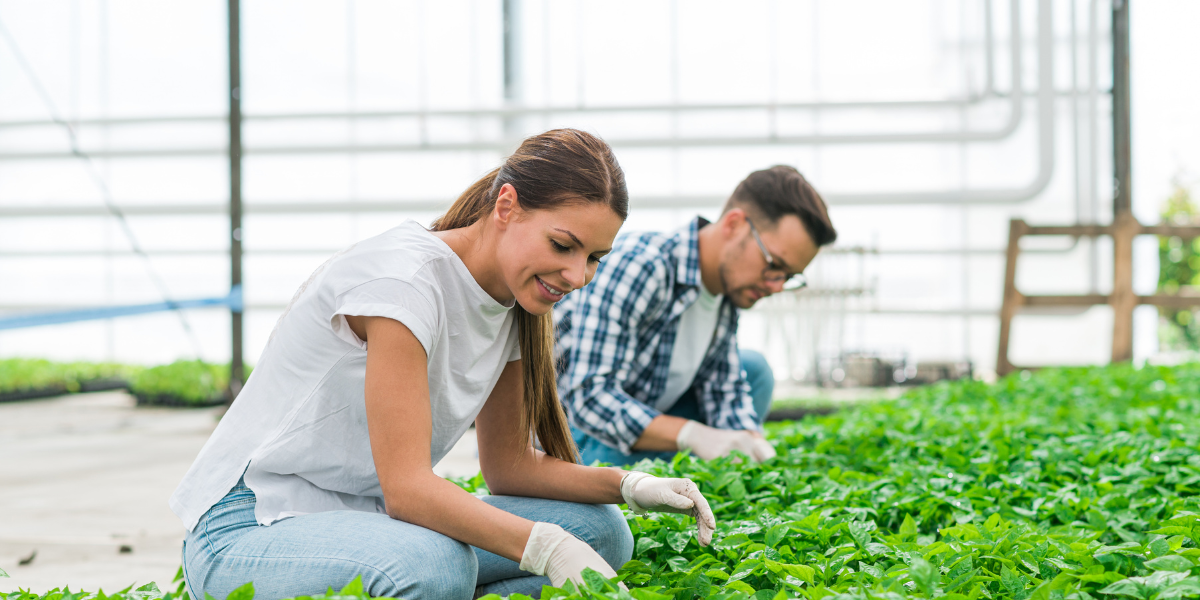 Fee-Free TAFE Courses Main Image