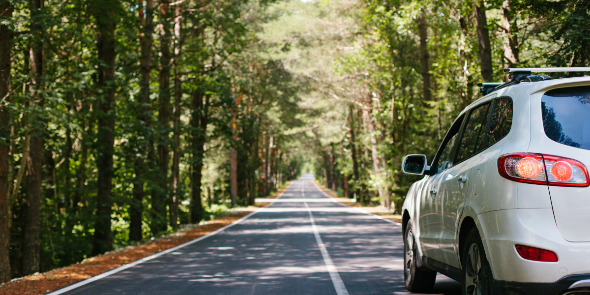 Queensland Government Cuts Rego by 20% Main Image